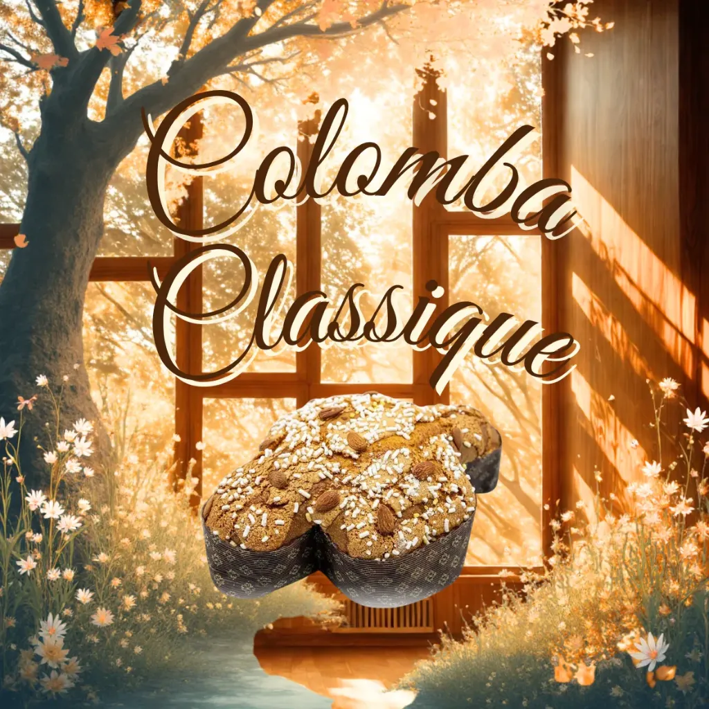 Colomba Classique
