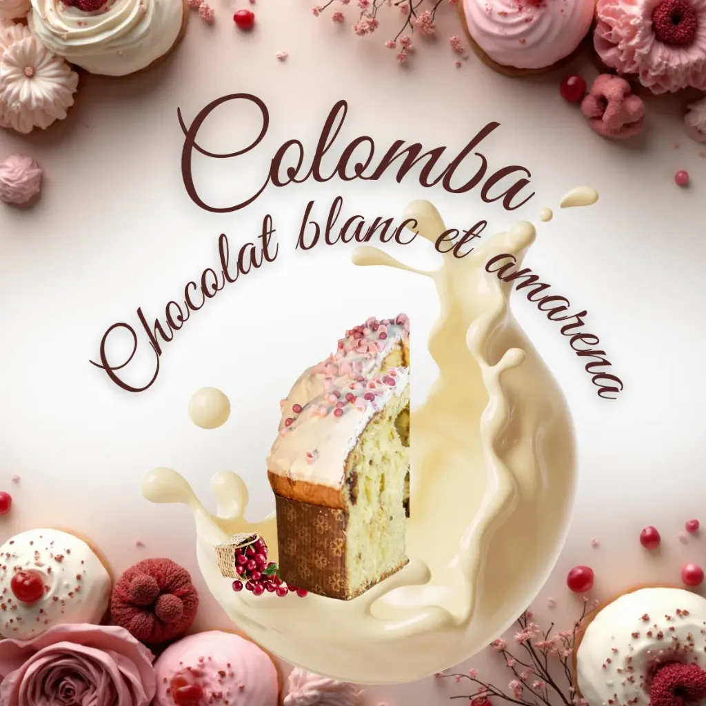 Colomba Chocolat blanc et amarena
